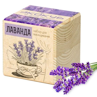 Набор для выращивания «Экокуб», лаванда