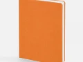 Ежедневник Basis, датированный, оранжевый