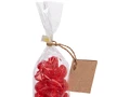 Вишня Cherry Lady
