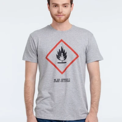 Футболка «Жар-птица», серый меланж