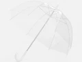 Прозрачный зонт-трость Clear