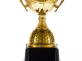 Кубок Meritus, большой, золотистый